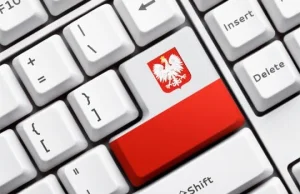 Naziści mają rację - kilka słów o chorobie polskiego internetu