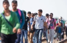 Imigranci nie chcą azylu w Danii bo za mało ojro dajo