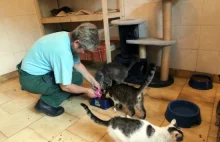 16-letni autor filmu "Kot kaskader" opiekuje się zwierzętami w schronisku..