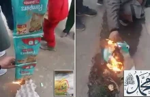 Muzułmanie spalili pieluchy, bo kot na opakowaniu wygląda jak słowo "Mahomet"