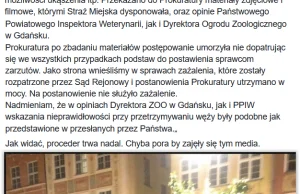 [WYKOPEFEKT] Regularne ekspozycje węży tropikalnych w za niskich temperaturach