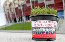 Wszystko da się sprzedać! Murawa z historycznego meczu POLSKA vs NIEMCY 2:0