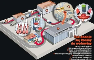 Tak się fałszuje wołowinę. Oszuści zakładają na chwilę firmę, by podrabiać mięso