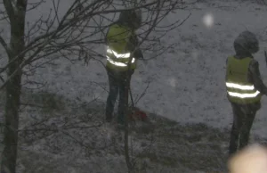 Wczoraj drogowcy kosili trawę, a dziś w Poznaniu grabili liście w śniegu.