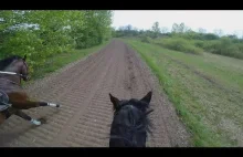 Poczuć wiatr we włosach na wierzchowcu, który pędzi około 55km/h