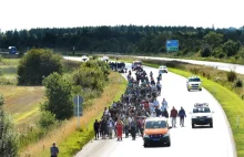 [NOWE] Marsz na Szwecję. Imigranci wyszli na duńską autostradę.