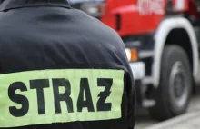 Kraków: Autobus zderzył się z tramwajem. 13 poszkodowanych, część odmówiła...