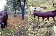 Panoramiczne zdjęcia na których coś poszło nie tak ( ͡° ͜ʖ ͡°)