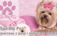 Psi Fryzjer Poznań Piątkowo Groomer "Spa Dla Psa" Tel.500-640-440