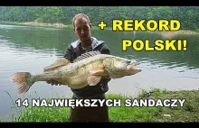 Sandacz rekord Polski 14 największych sandaczy z zeszłego sezonu wedłu...