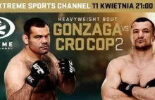 Transmisje UFC w Polsce online i w TV - gdzie, o której oglądać na żywo za...