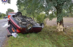 Lubelskie: 24-latka próbowała ominąć jeża. Auto uderzyło w drzewo