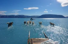 17°C na Grenlandii. Badacz sfotografował rekordowe topnienie pokrywy lodowej