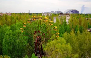 33 lata po katastrofie, Czarnobyl odradza się jako królestwo przyrody