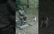Niewrażliwy posąg nie chce rzucić psu kawałkiem gałęzi