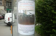 Plaga kradzieży rowerów w Poznaniu. Poznaniak sam szuka kolarzówki