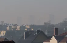 Co 15 minut ktoś w Polsce umiera przez zanieczyszczone powietrze