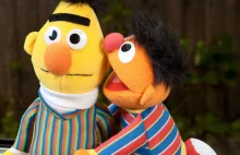 Bert i Ernie z "Ulicy Sezamkowej" są parą.