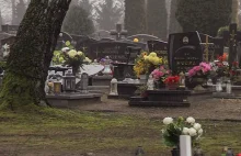 Transmisje pogrzebowych uroczystości na cmentarnym telebimie? Radni na tak.