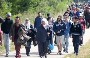 Półtora miliona Syryjczyków zamierza przedostać się do Europy