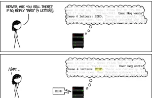 Heartbleed Explanation