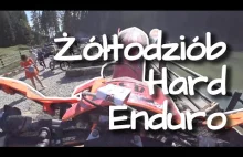 Żółtodziób na Hard Enduro