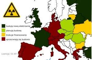 Atomowy sojusz Amerykanów z Michałem Sołowowem– mały reaktor czy wielki PR