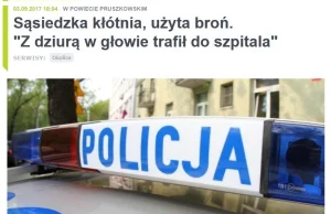 “Pijany Polak będzie strzelał do sąsiada” taki kłamliwy przekaz jest realizowany