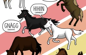 Jak robi koń w różnych językach?