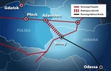 Powstaje projekt rurociągu Odessa-Brody-Płock