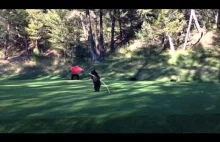 Mały niedźwiadek bawi się flagą na polu golfowym