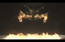 Fire Flight - 1000fps