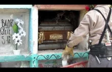 Spokój grabarza czyli ekshumacja w Meksyku