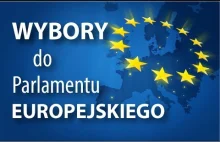 wybory a różnica między PIS a PO Koalicja ni- Europejska...