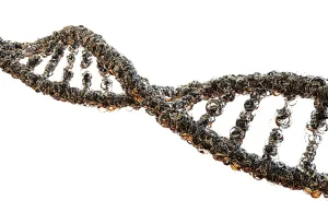 Geny czy wychowanie? O wpływie macierzyństwa na DNA dzieci.