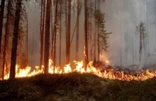 Pozary w Szwecji: Armia zrzuca bomby aby ugasić pożar!