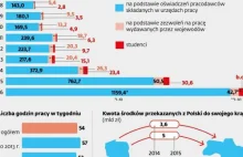 Kim są Ukraińcy pracujący w Polsce?