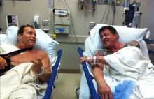 Schwarzenegger i Stallone znowu razem! Dość nietypowo...