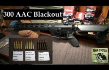 300 AAC Blackout : What's the Big Deal? [ENG]