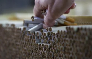 W maju papierosów zabraknie w sklepach? Niezbędna ustawa utknęła, nie ma systemu