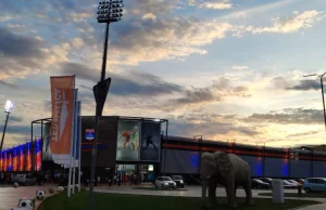 Bruk Bet Termalica Nieciecza - Zagłębie Sosnowiec 2:0. -