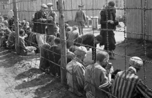 Alianci i Holocaust