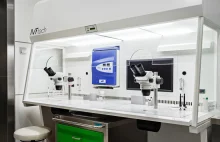 Zapłodnienie in vitro IVF/ICSI/IMSI