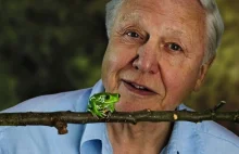 David Attenborough - znany przyrodnik opowiada o sensie życia