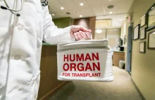 Ile kosztują ludzkie organy na czarnym rynku?