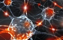 Przekształcenie komórek skóry w neurony in vivo