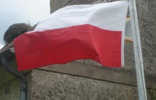 Polska albo rogale. Wybierajcie!