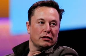 Elon Musk: Brexit sprawił, że nie zdecydowałem się na swoją gigafabrykę w UK