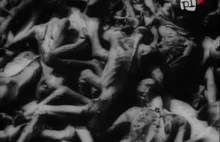 Film pokazany na procesie norymberskim