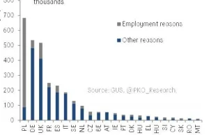 Polska przyjęła najwięcej imigrantów w EU w 2017 r.